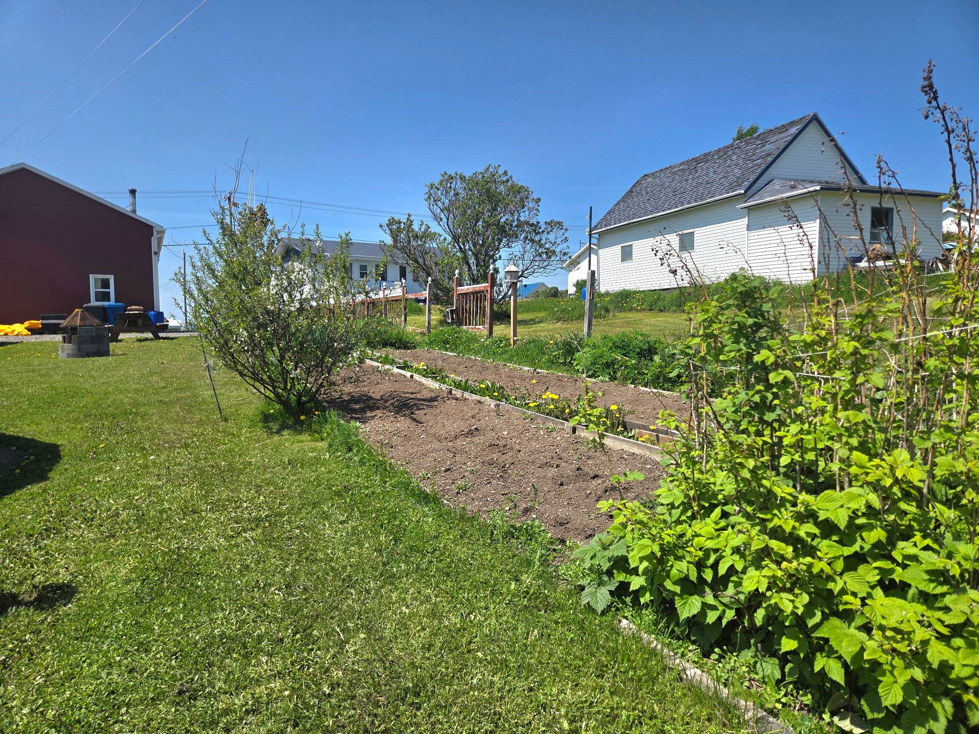 Jardin
