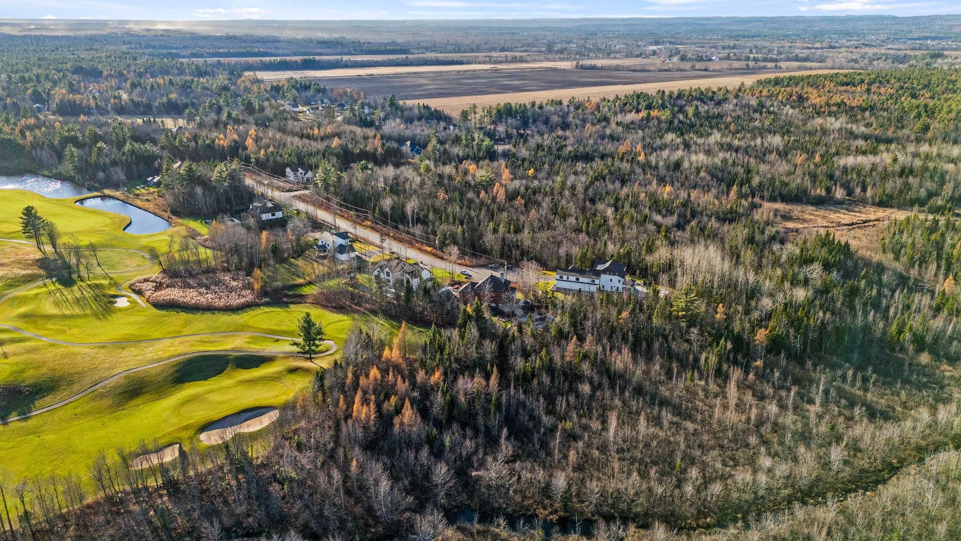 Overall View
