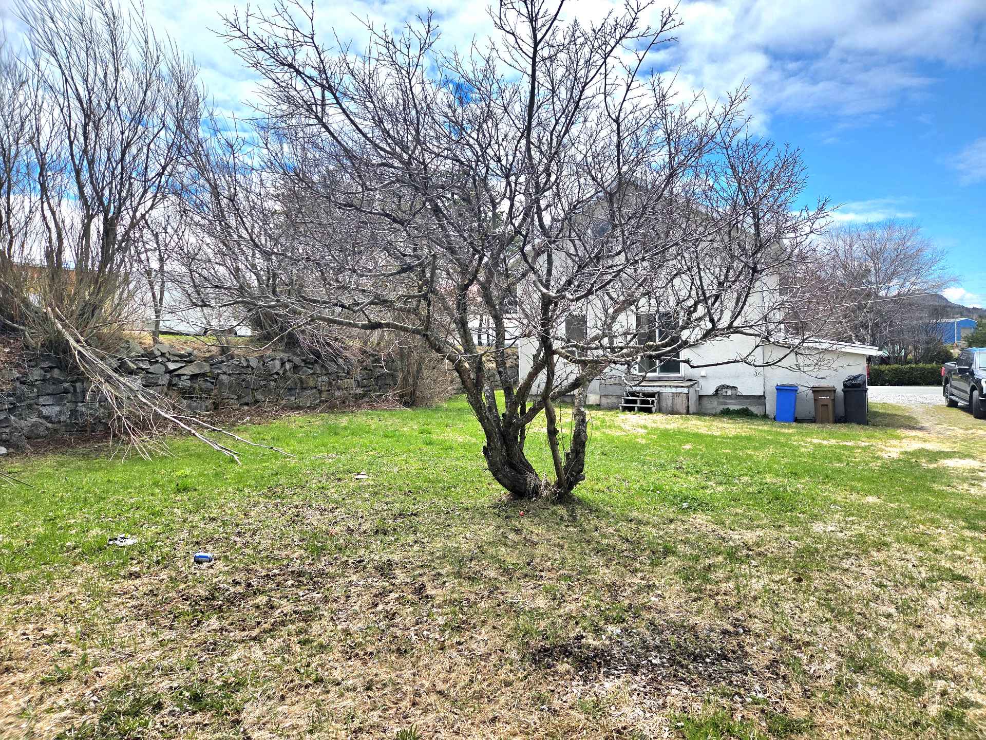 Land/Lot