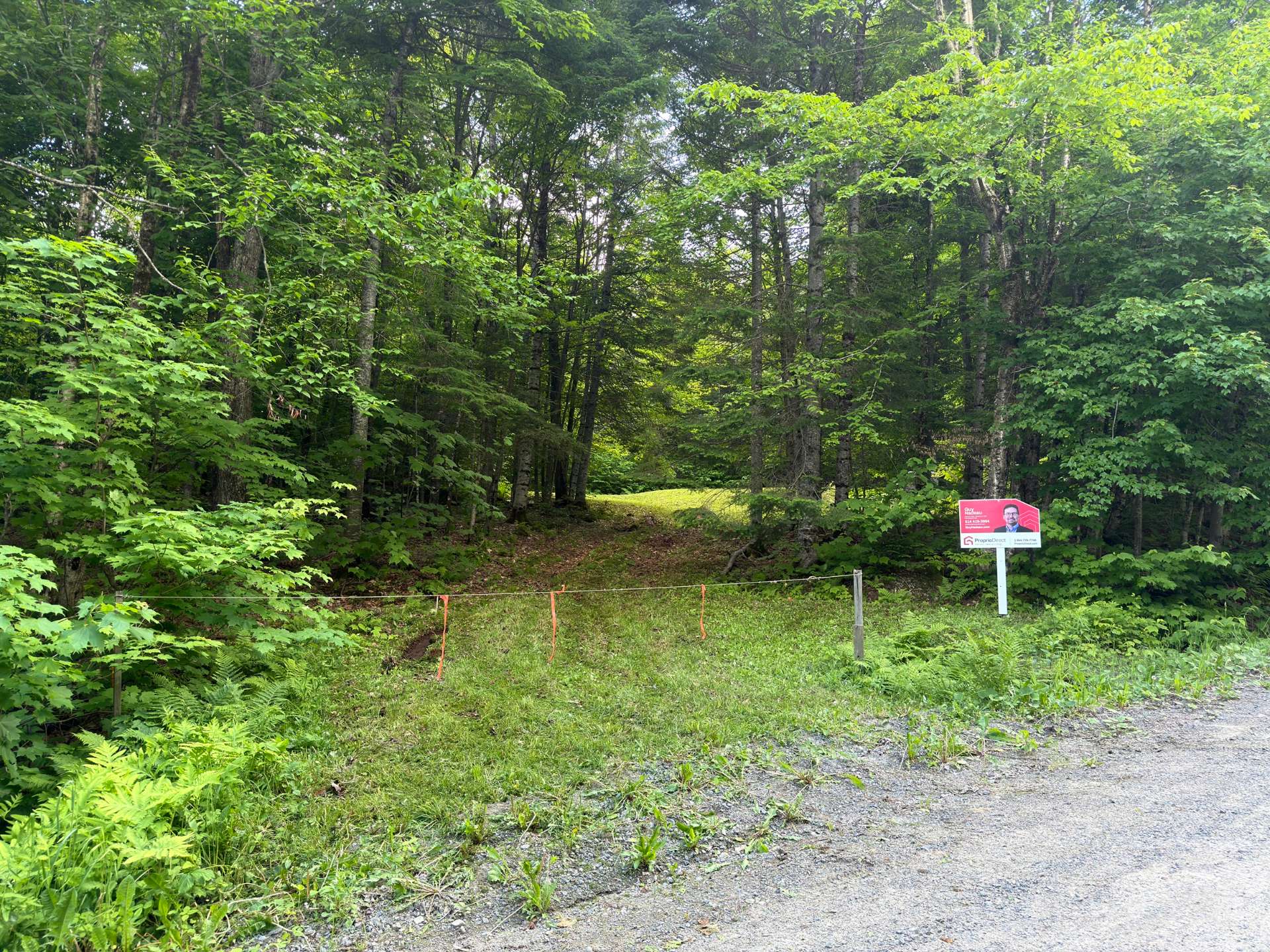 Terre/Terrain