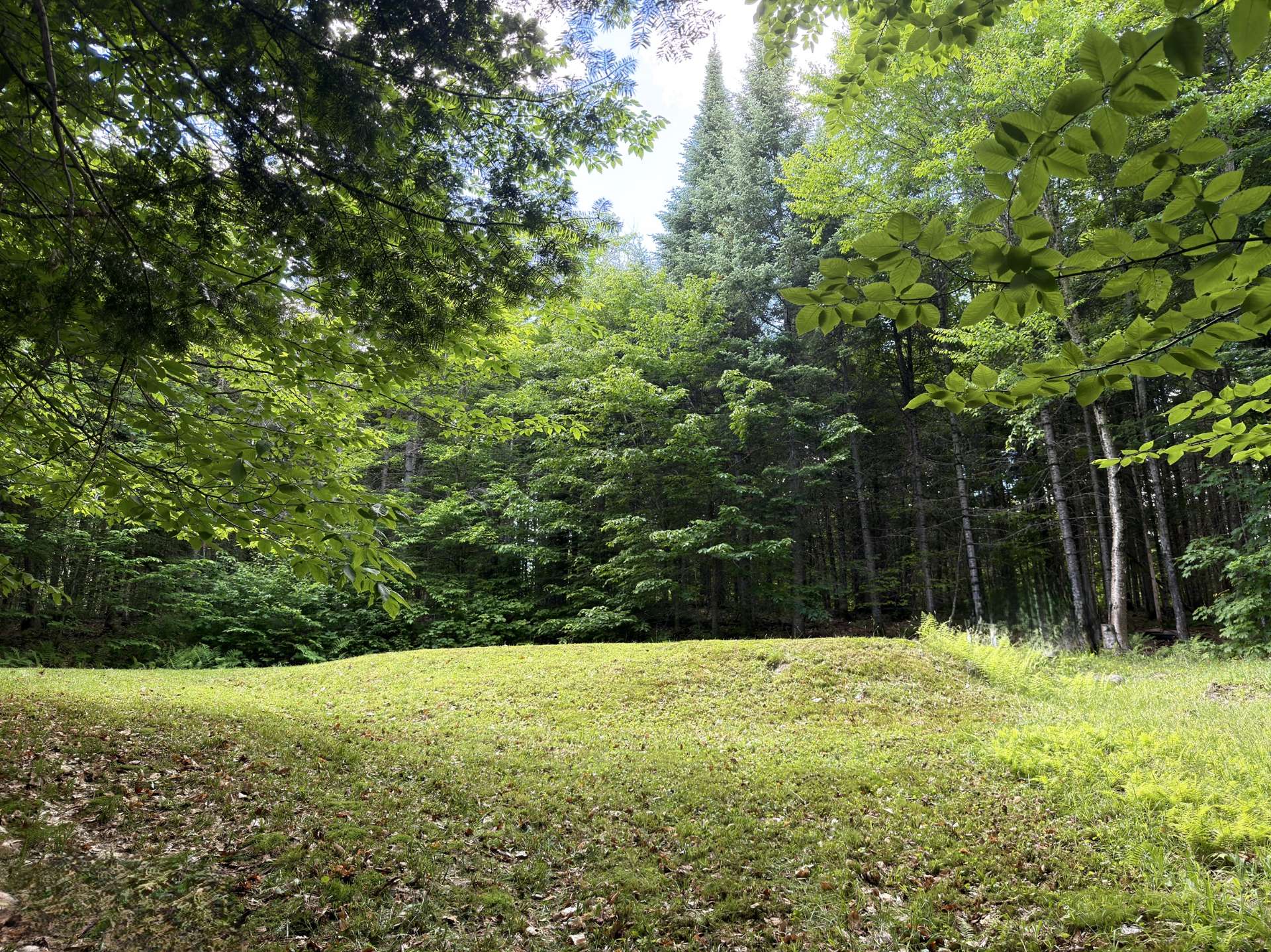 Terre/Terrain