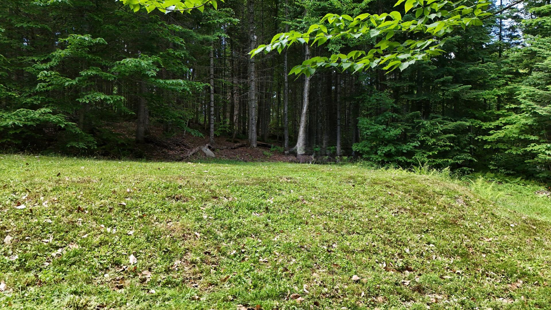 Terre/Terrain
