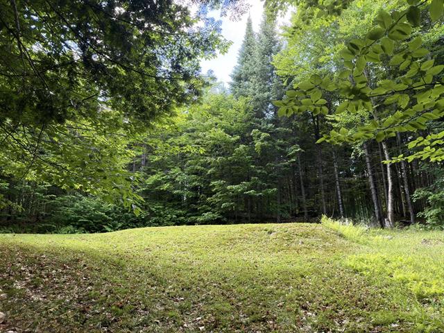 Terre/Terrain