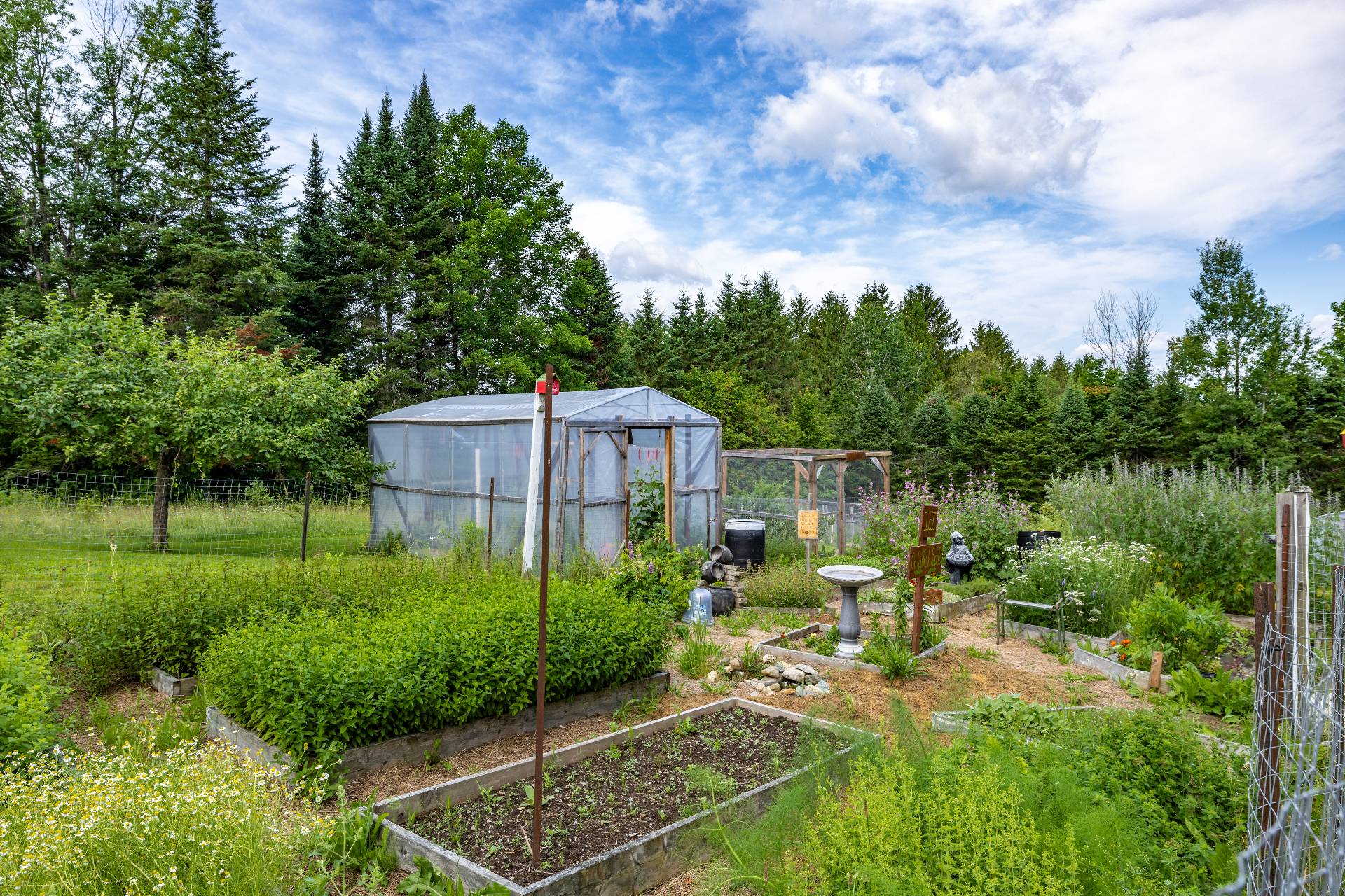 Jardin