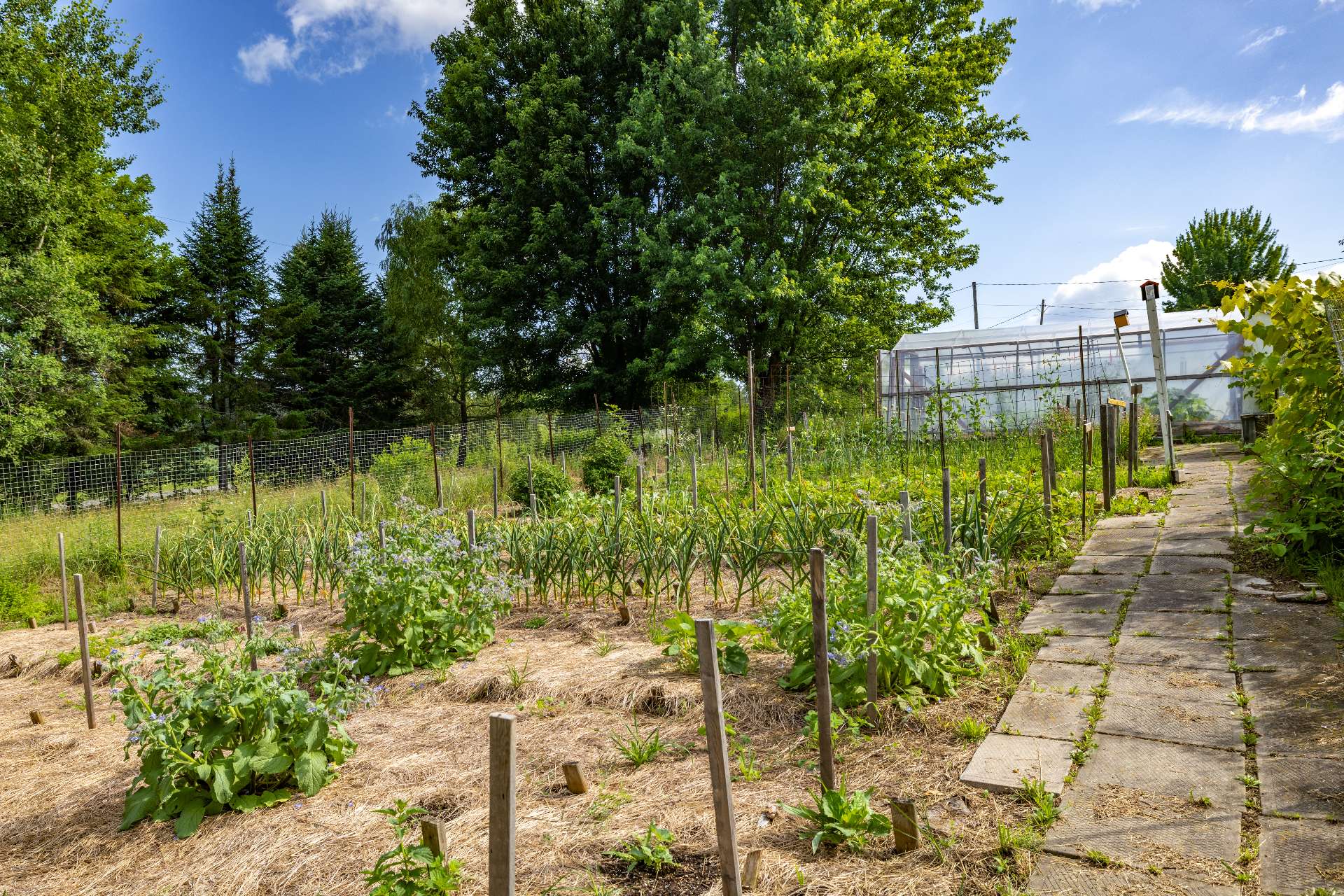 Jardin