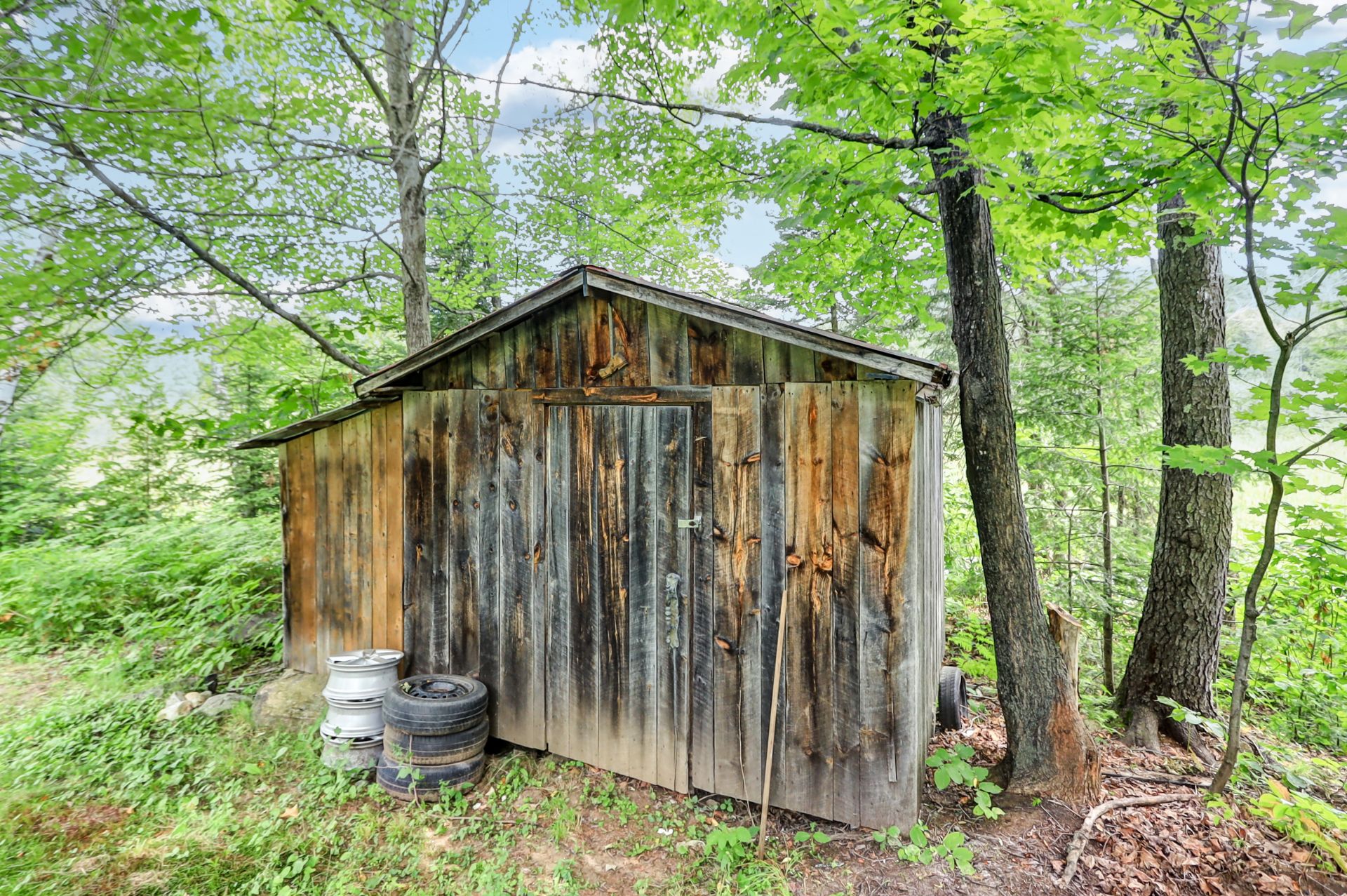 Shed