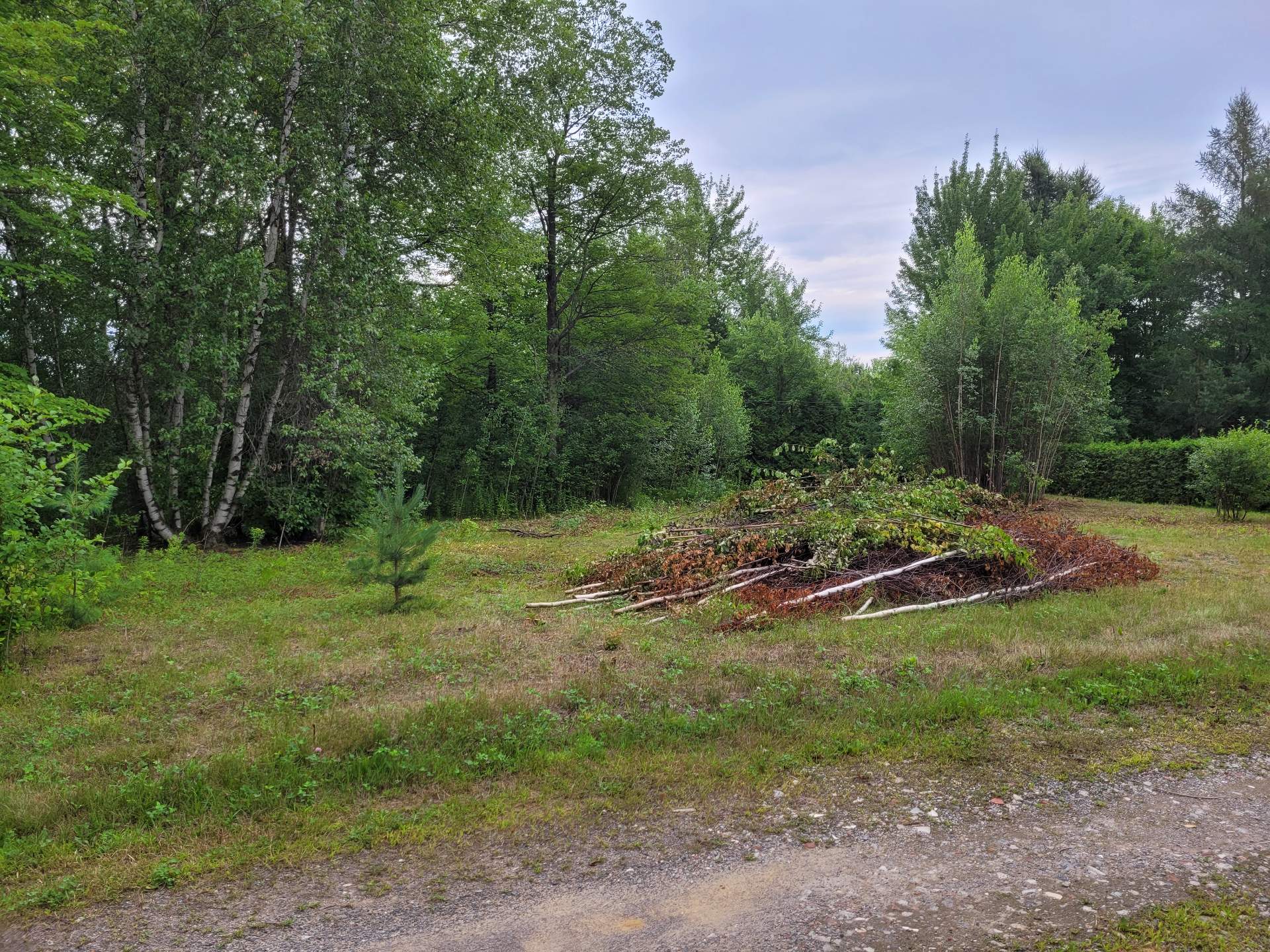 2252, Ch. Lotbinière, 33 — photo 3