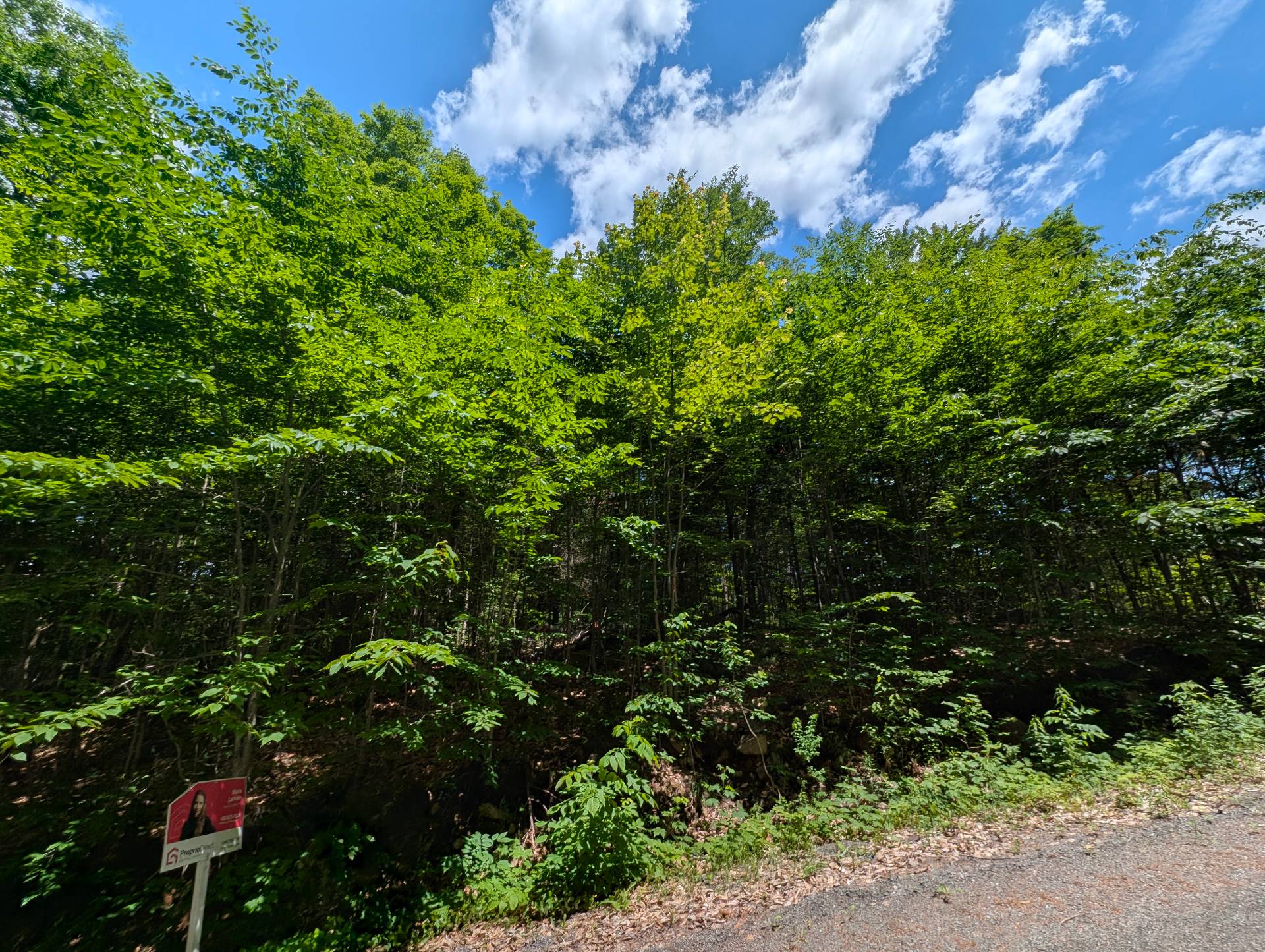 Land/Lot