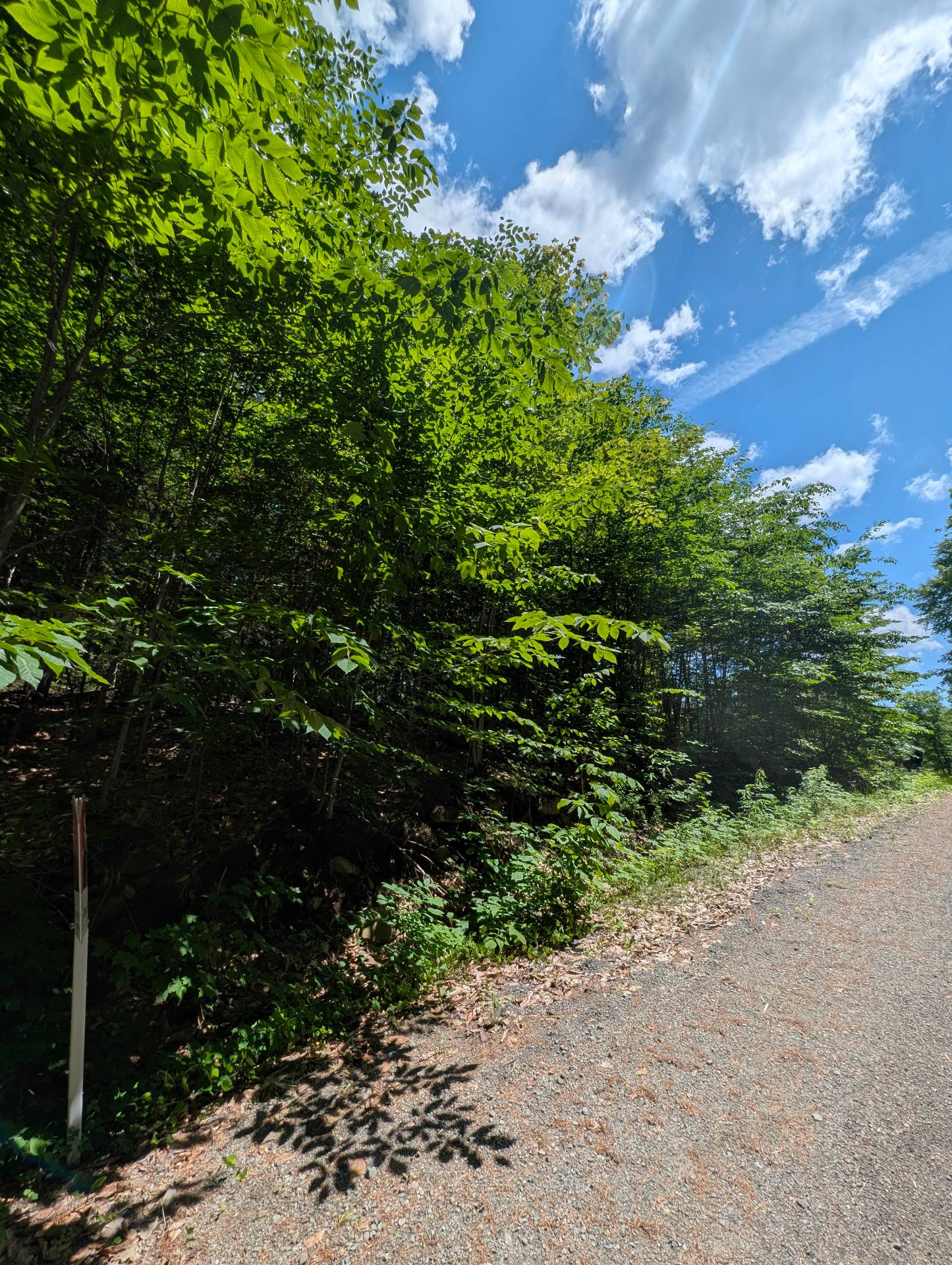 Land/Lot
