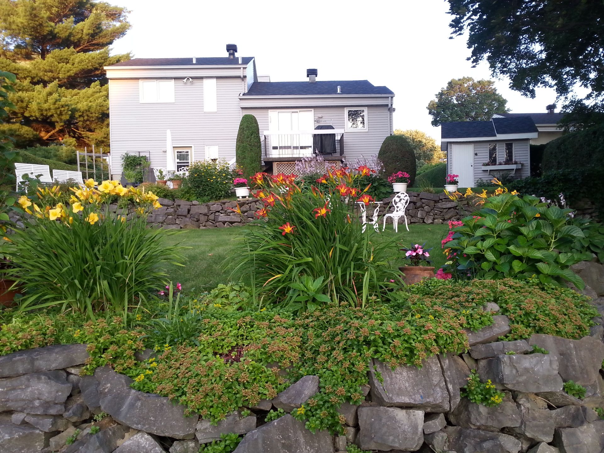 Backyard