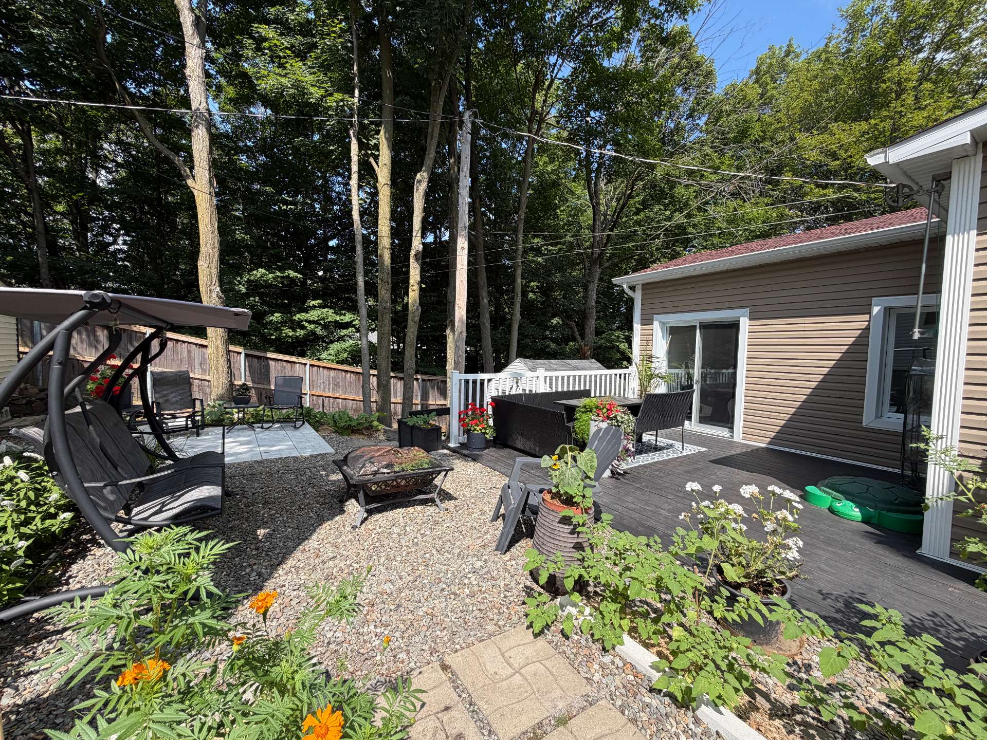 Backyard