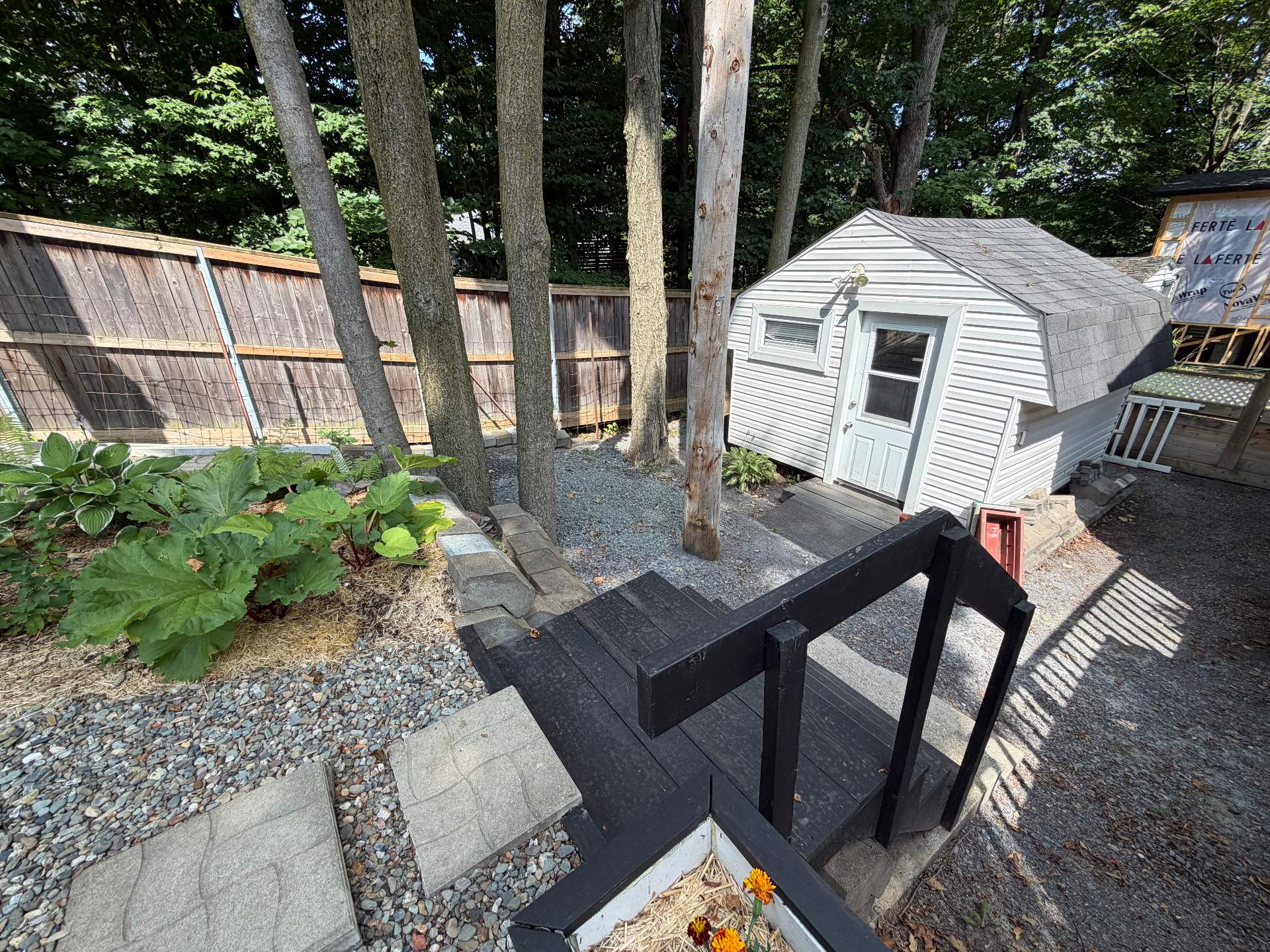 Shed