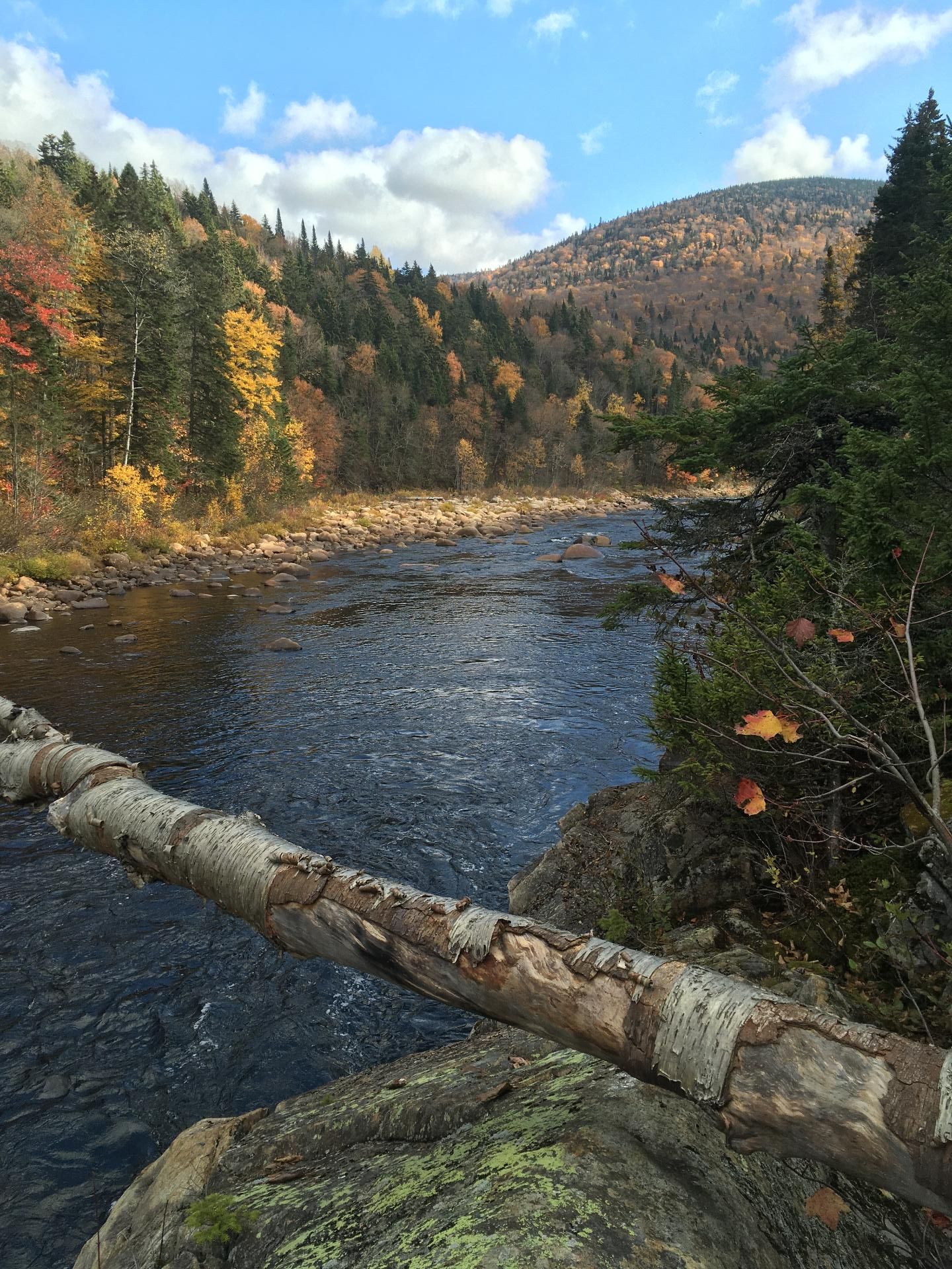 Rivière Montmorency