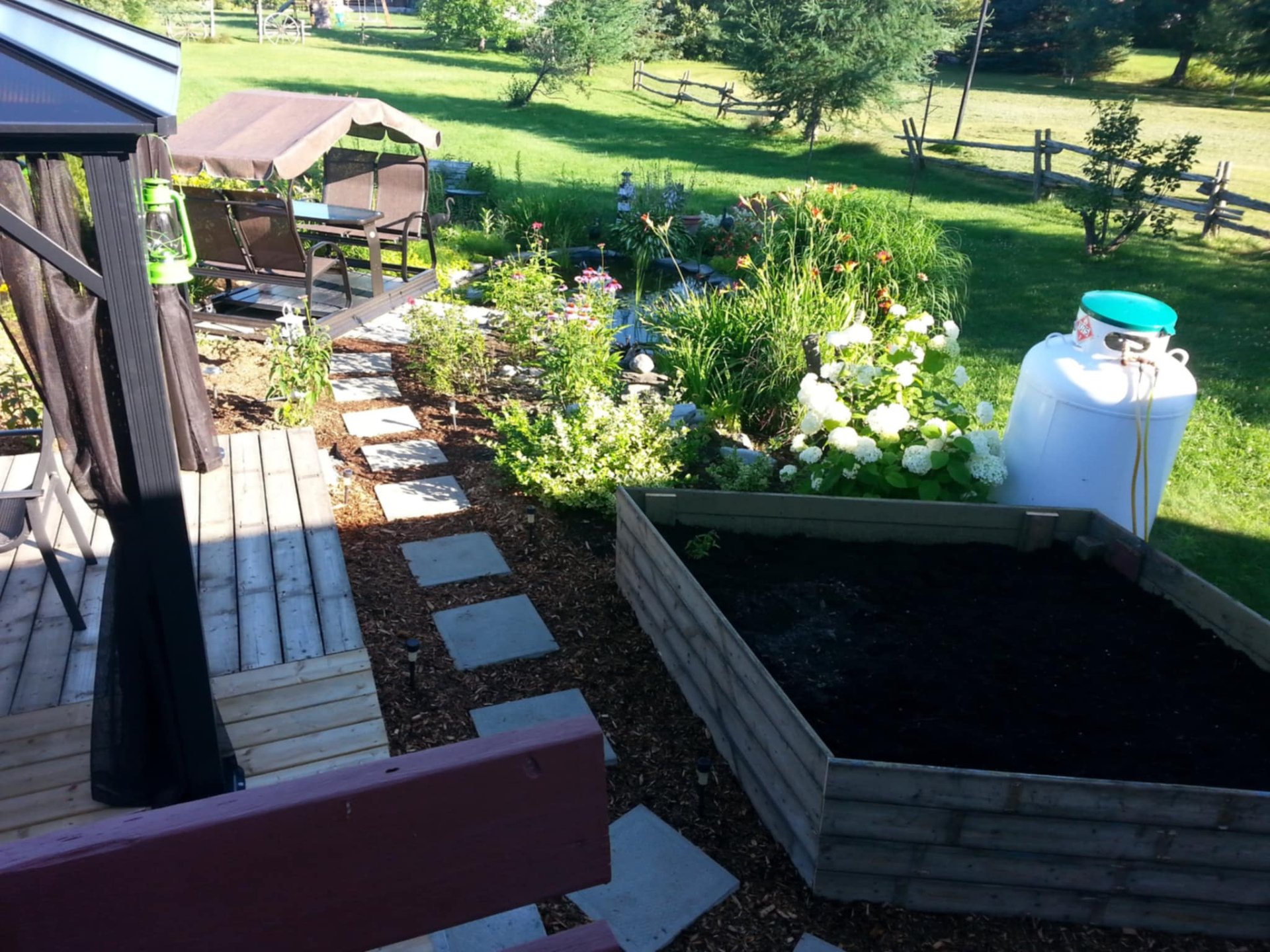 Backyard
