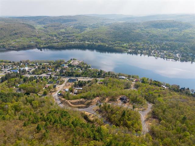 Overall View