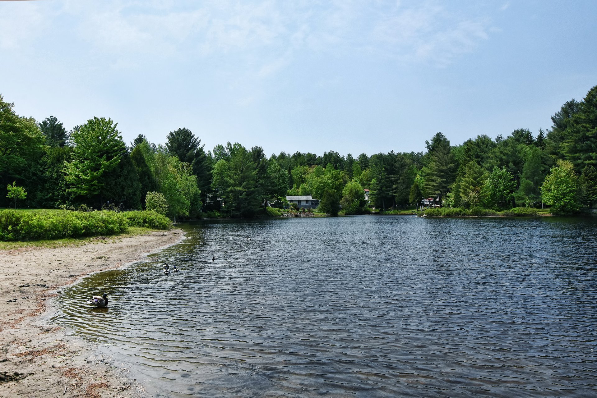 Accès au plan d'eau