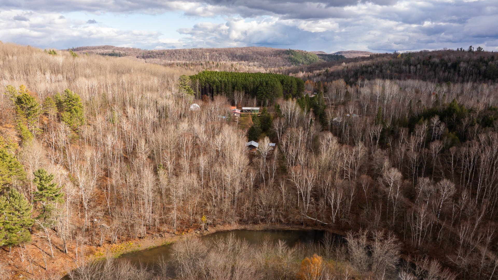Aerial photo