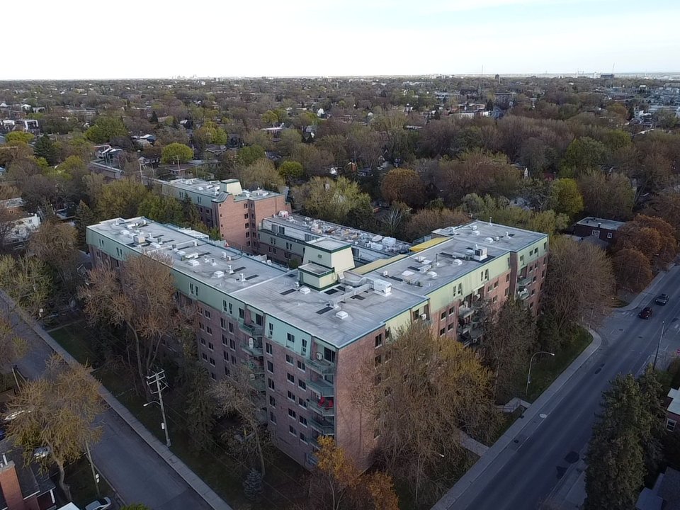 Aerial photo