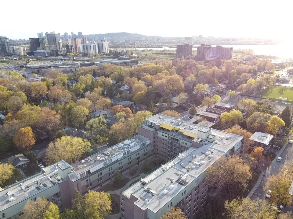 Aerial photo