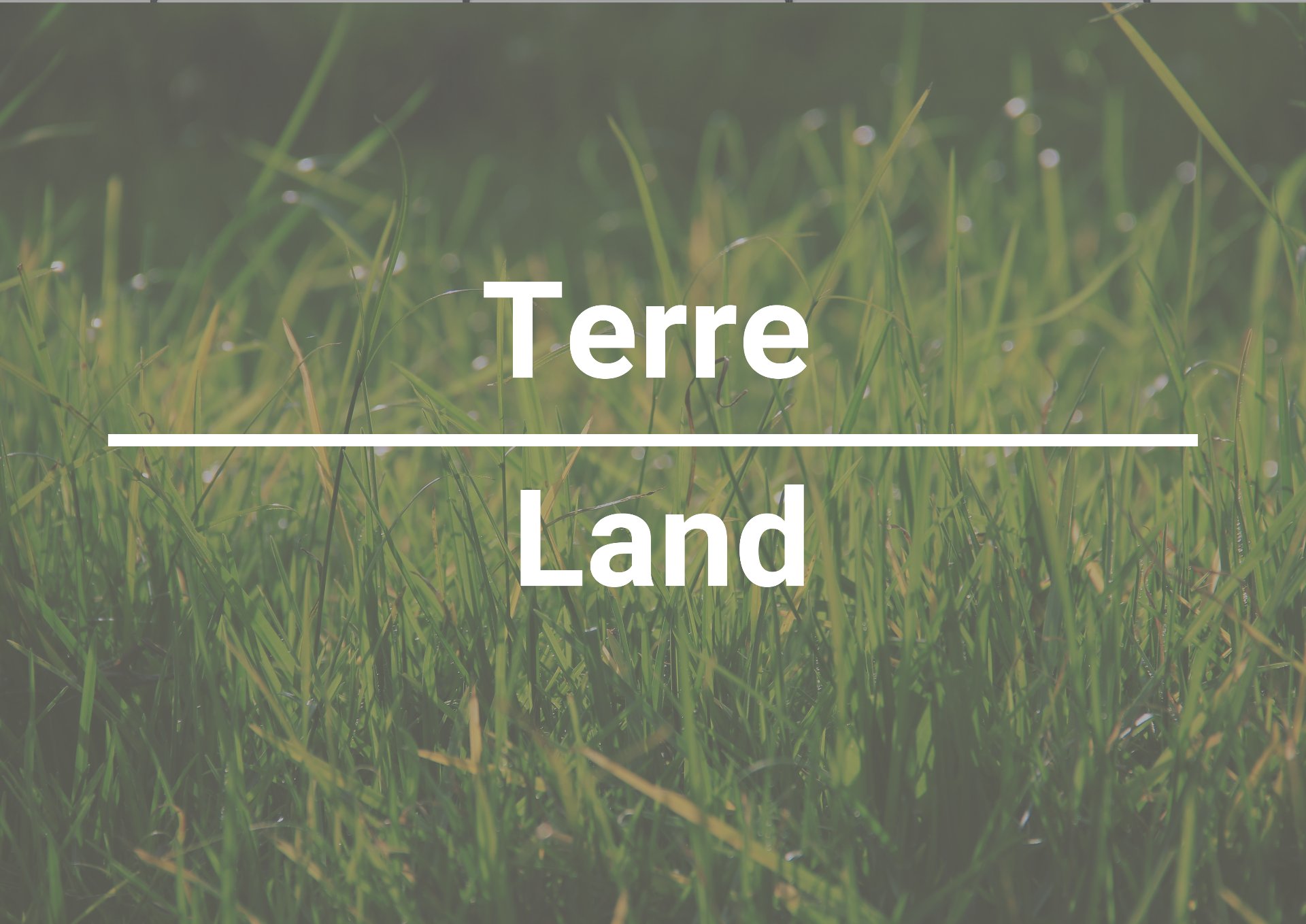 Land/Lot