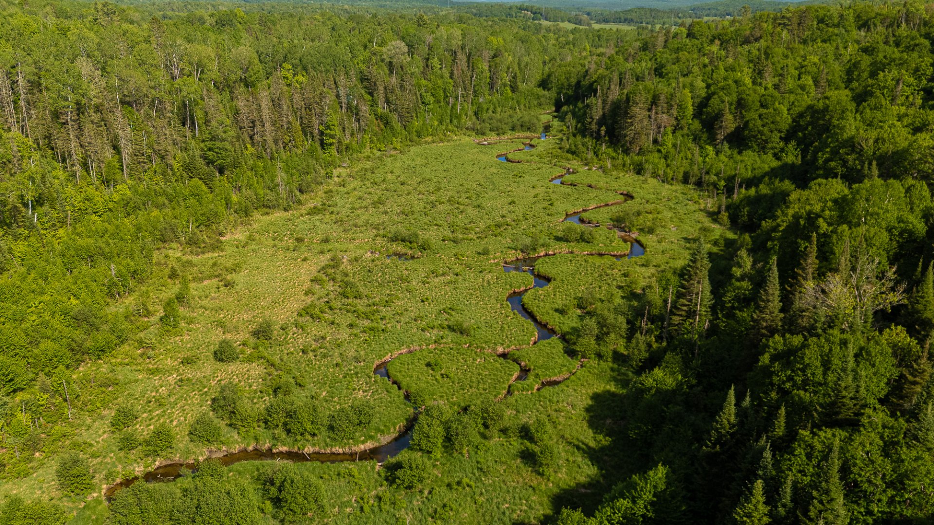 Terre/Terrain