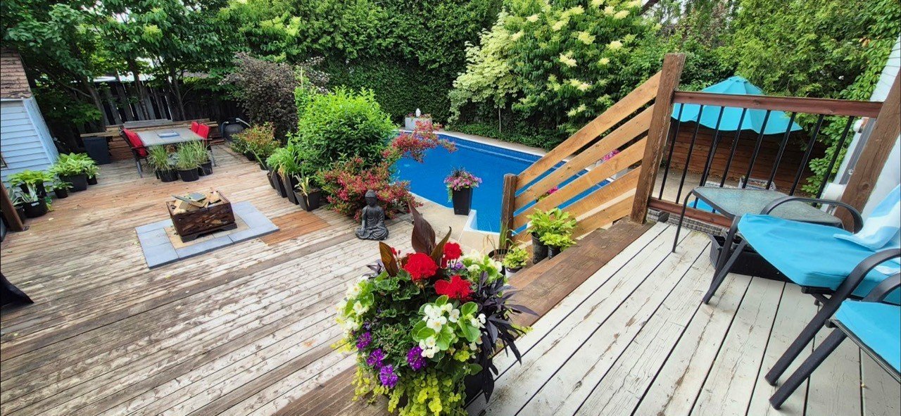 Backyard