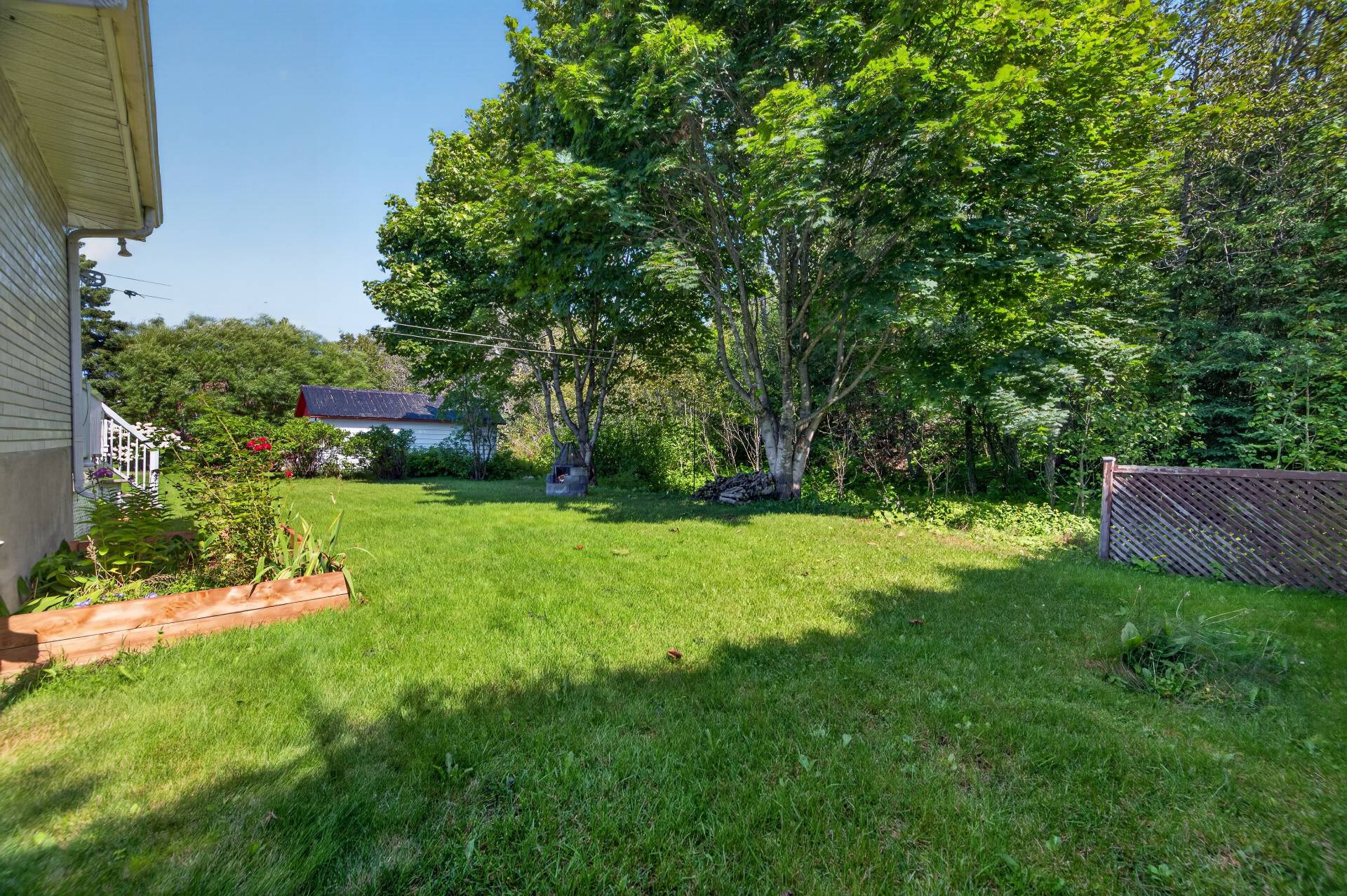 Backyard