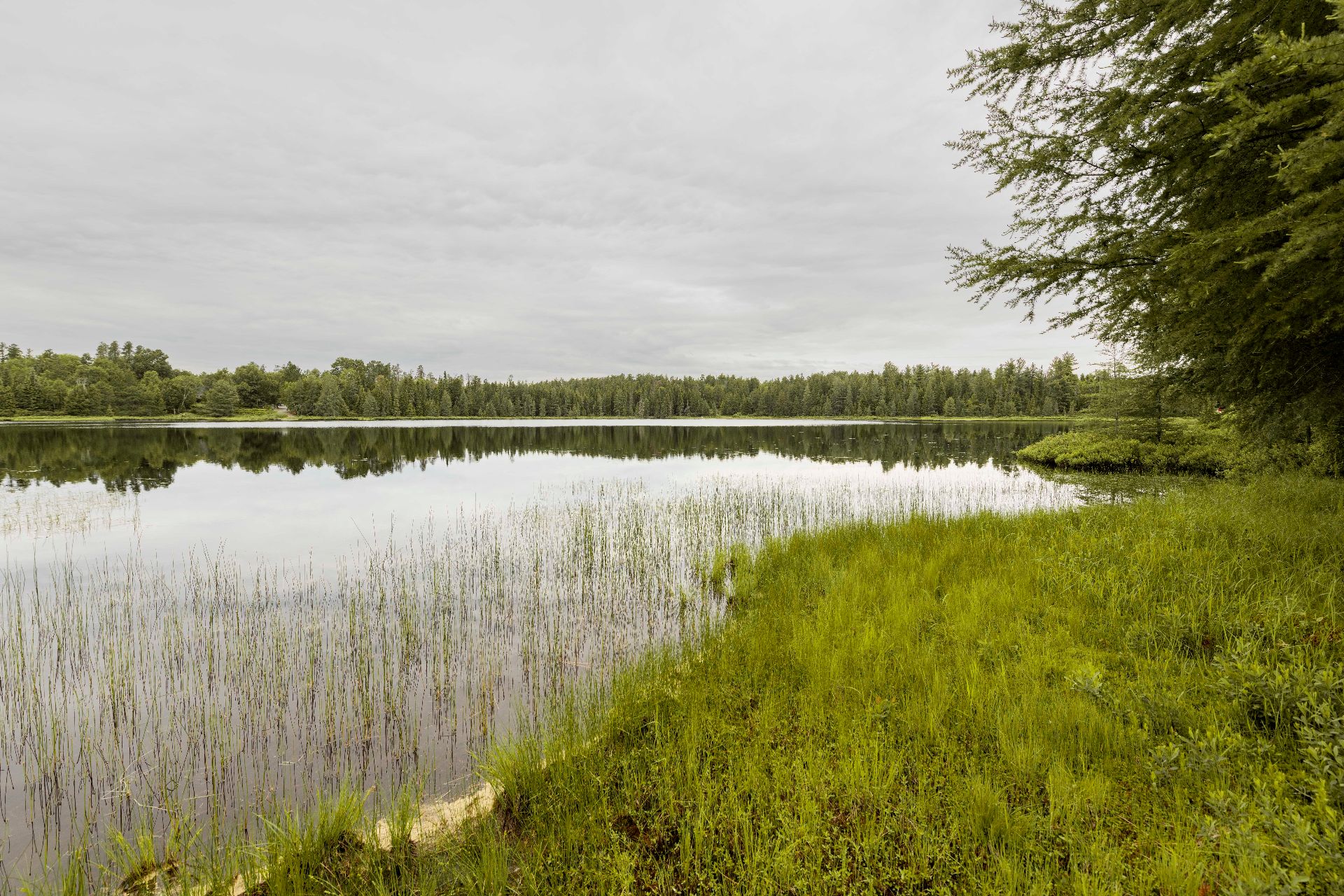 Bord de l'eau