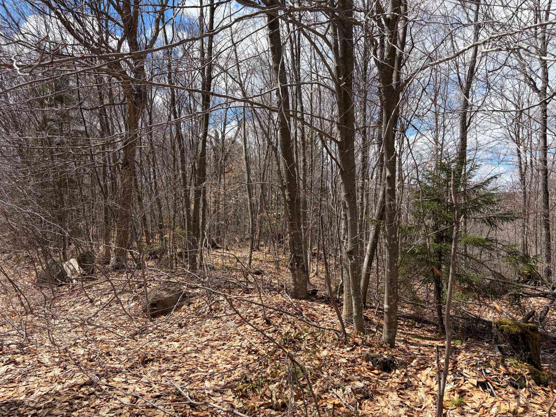 Land/Lot