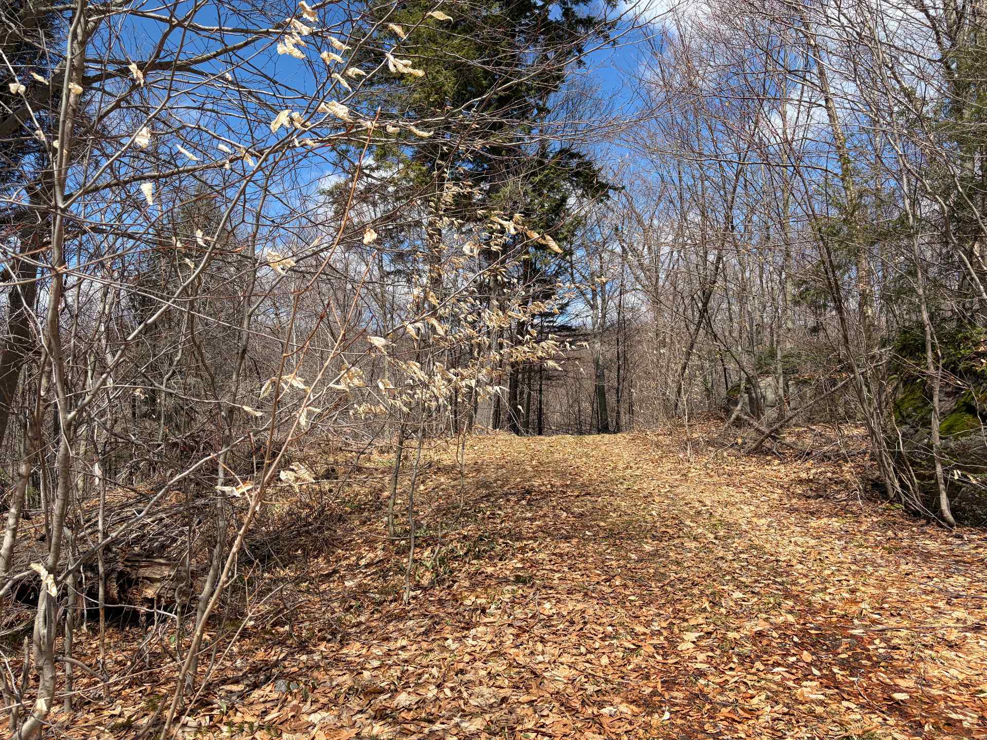 Land/Lot