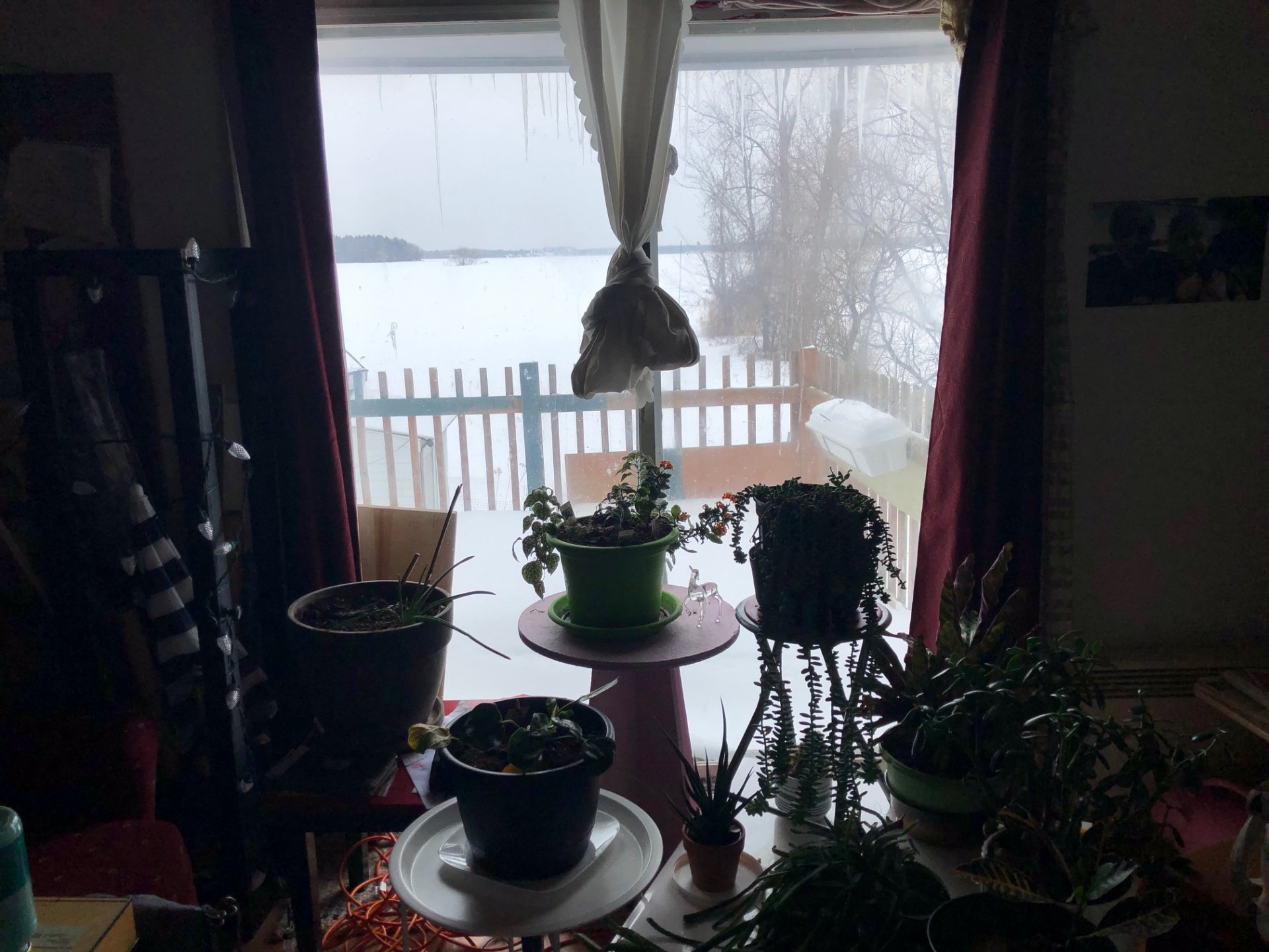 Vue