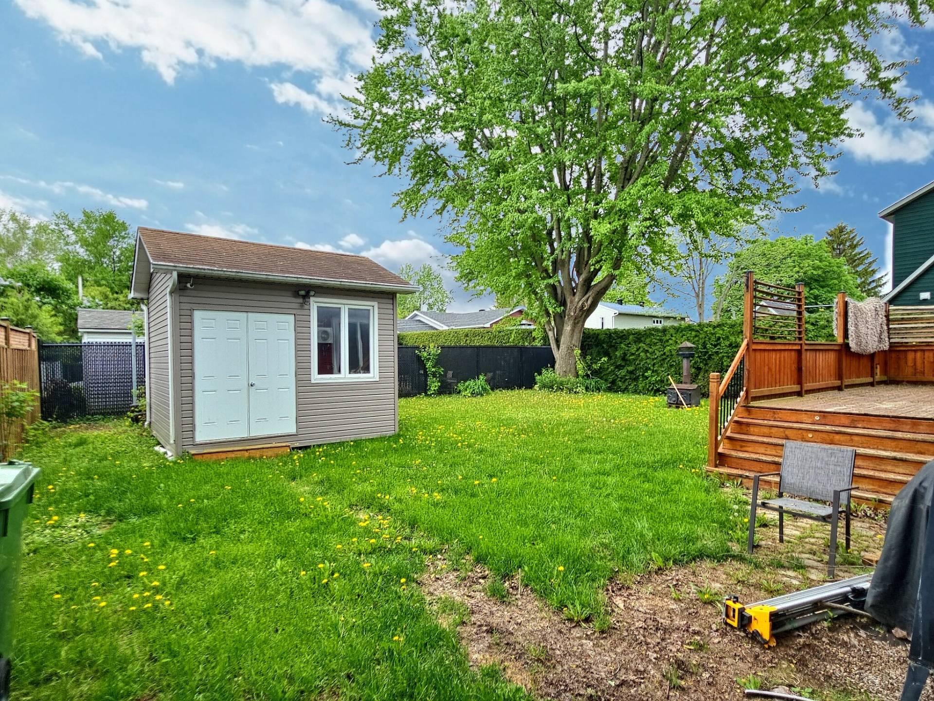 Backyard