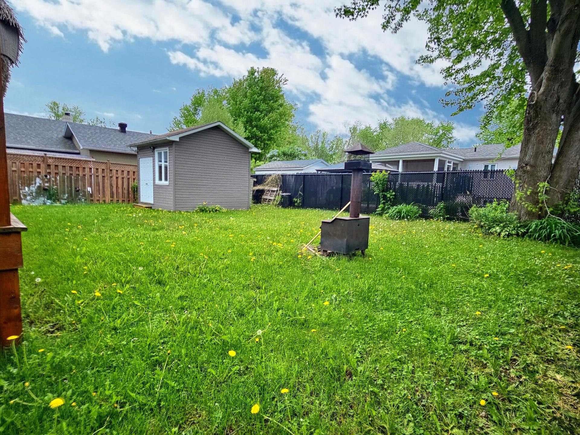Backyard