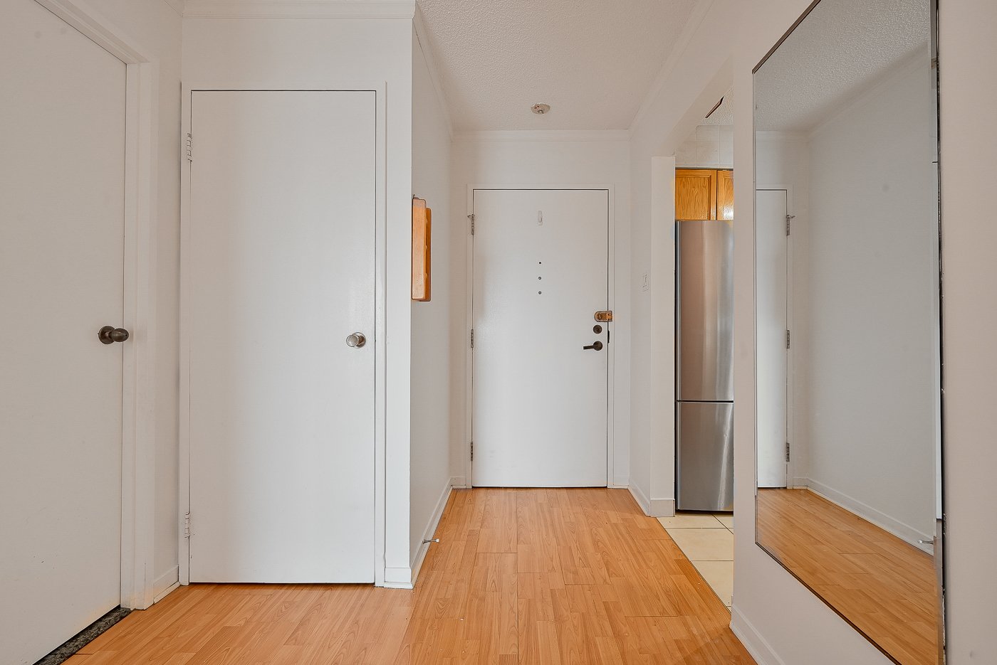 Hall d'entrée/Vestibule