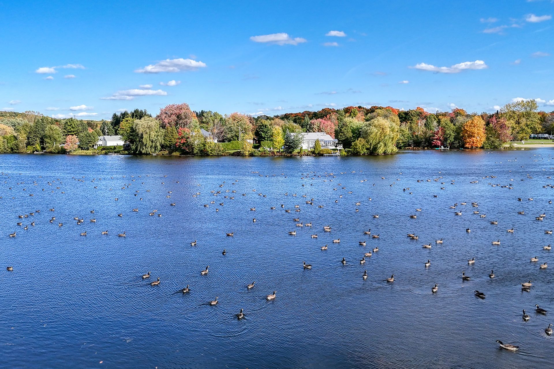 1314, Boul. du Lac-St-François — photo 3