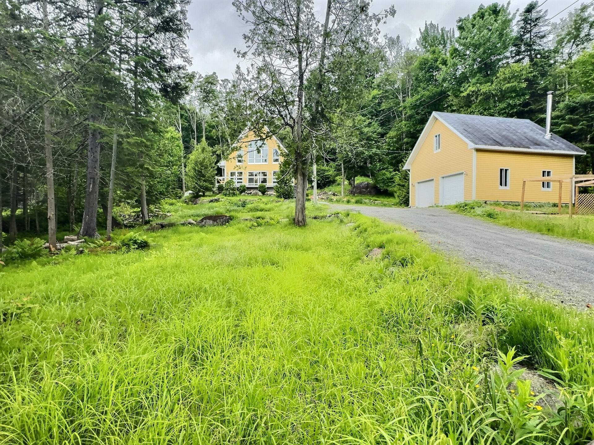 Overall View
