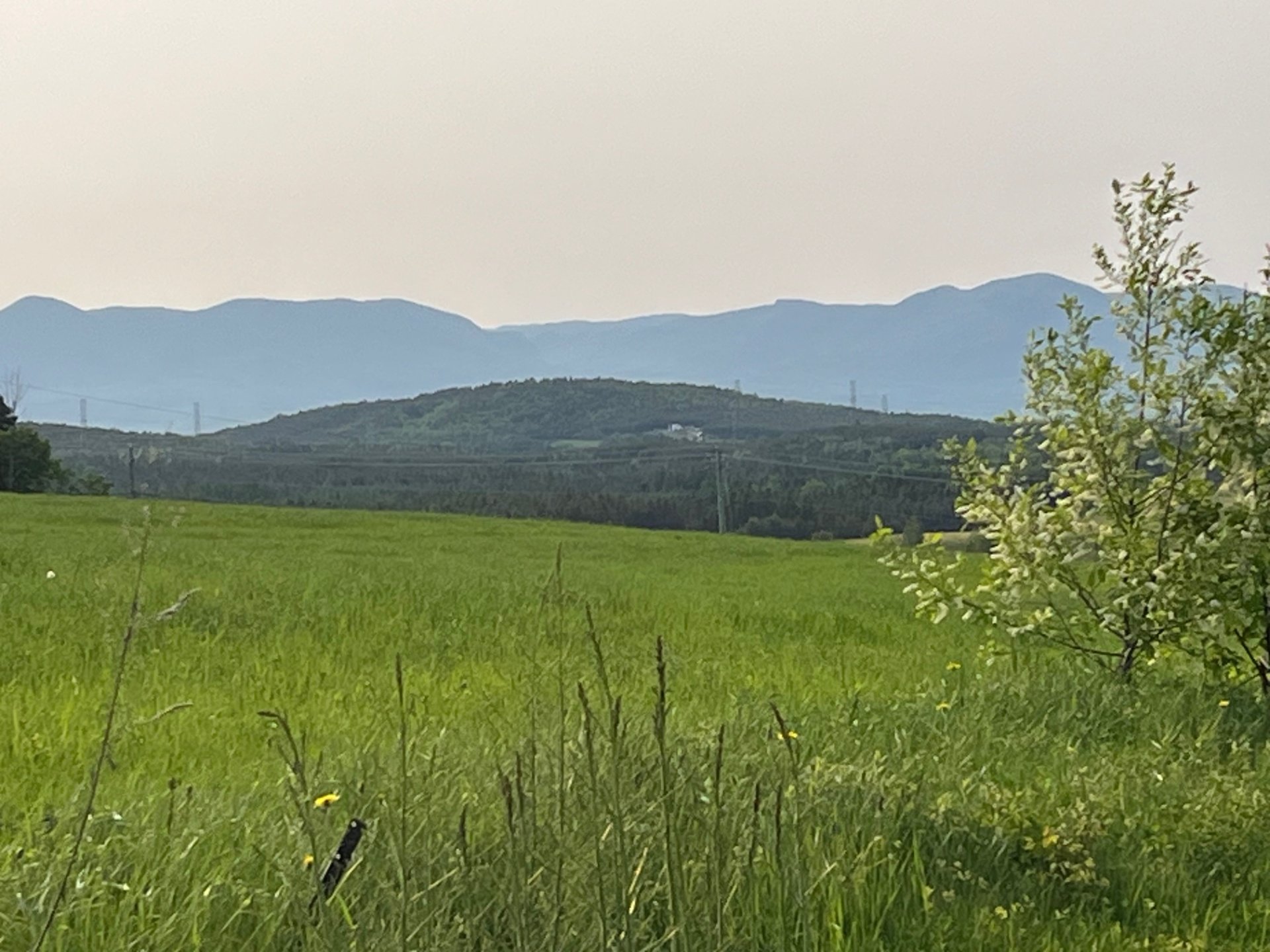 Vue sur les montagnes