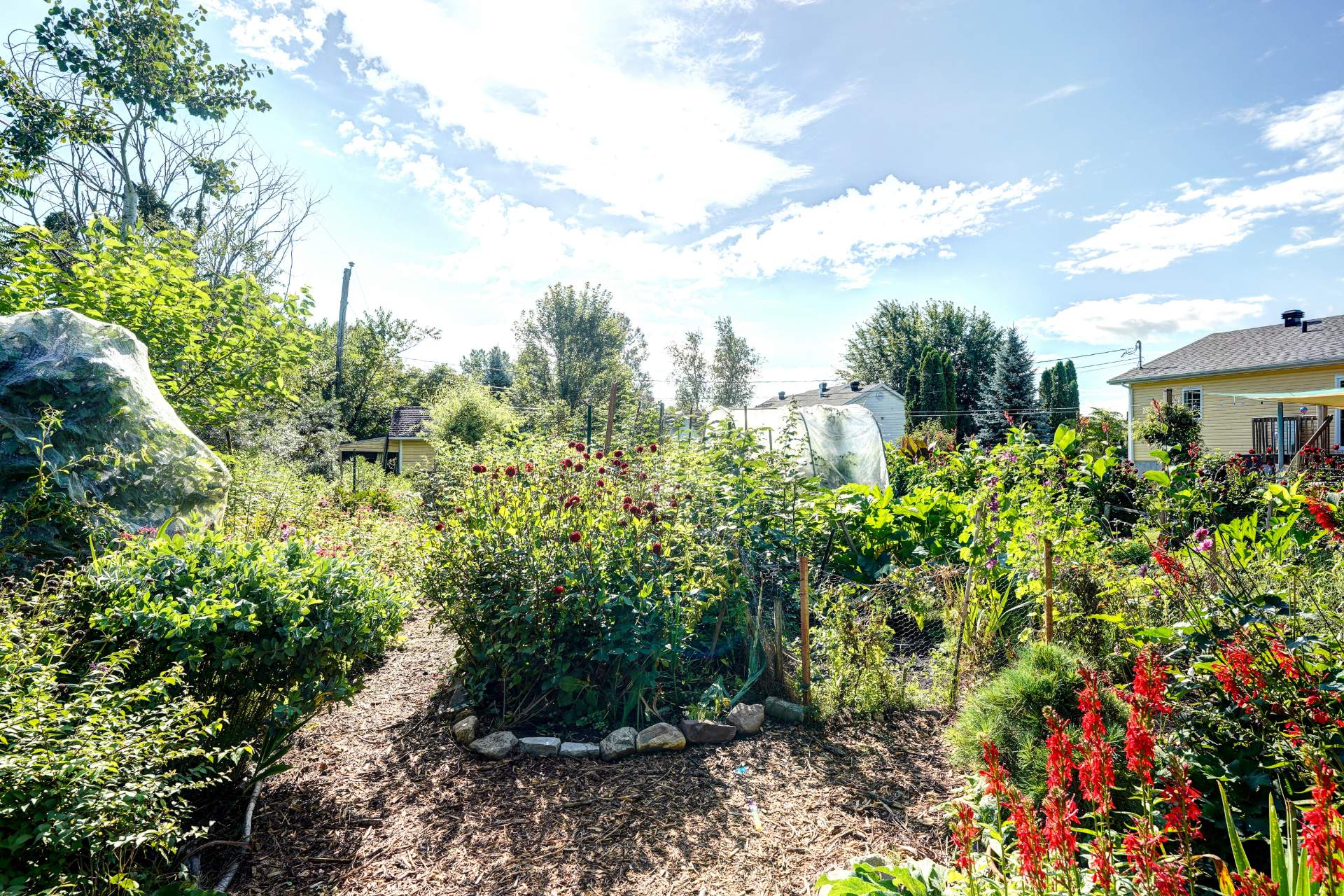 Jardin
