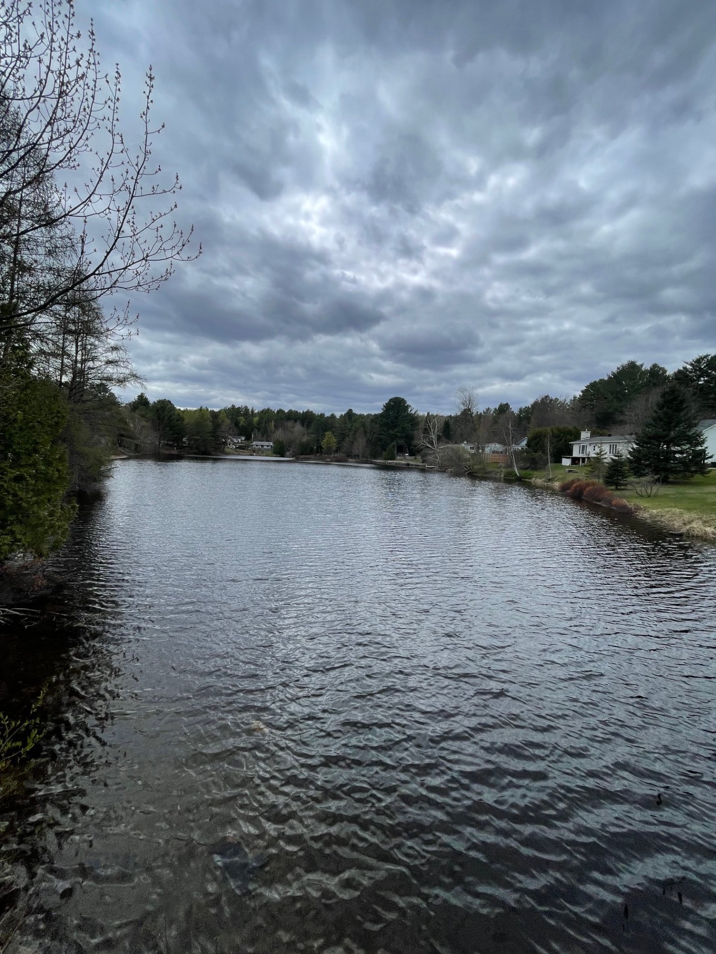 Vue sur l'eau