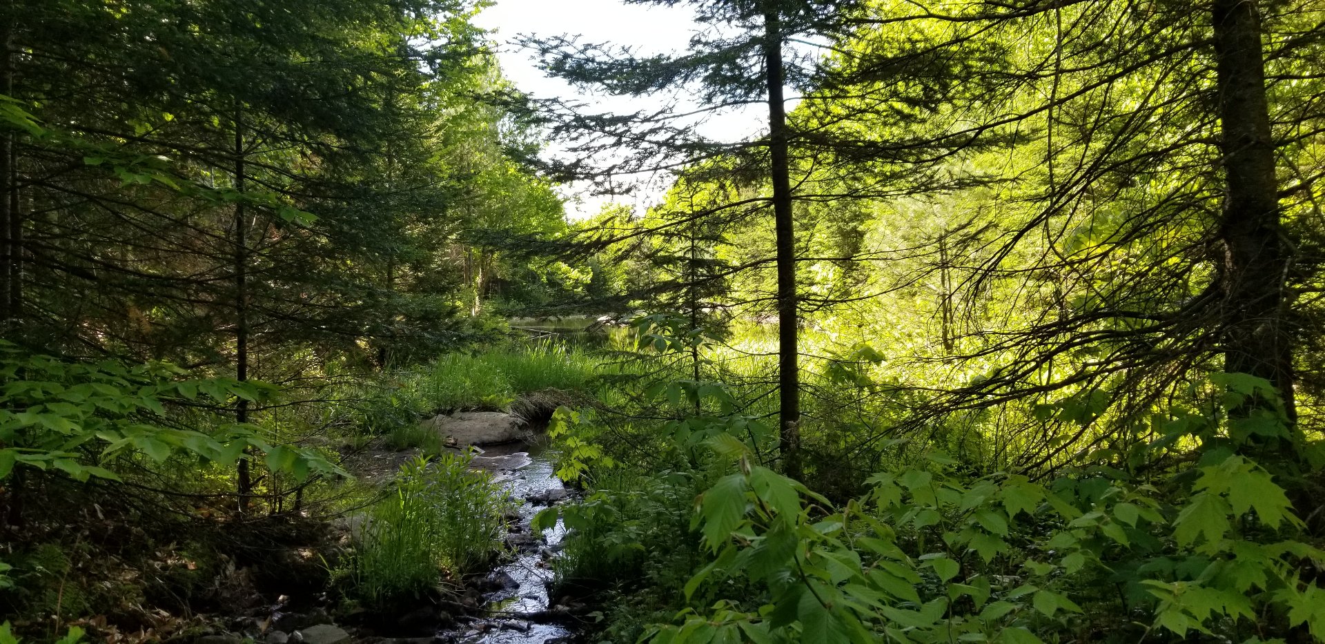 Route 329 — photo 1