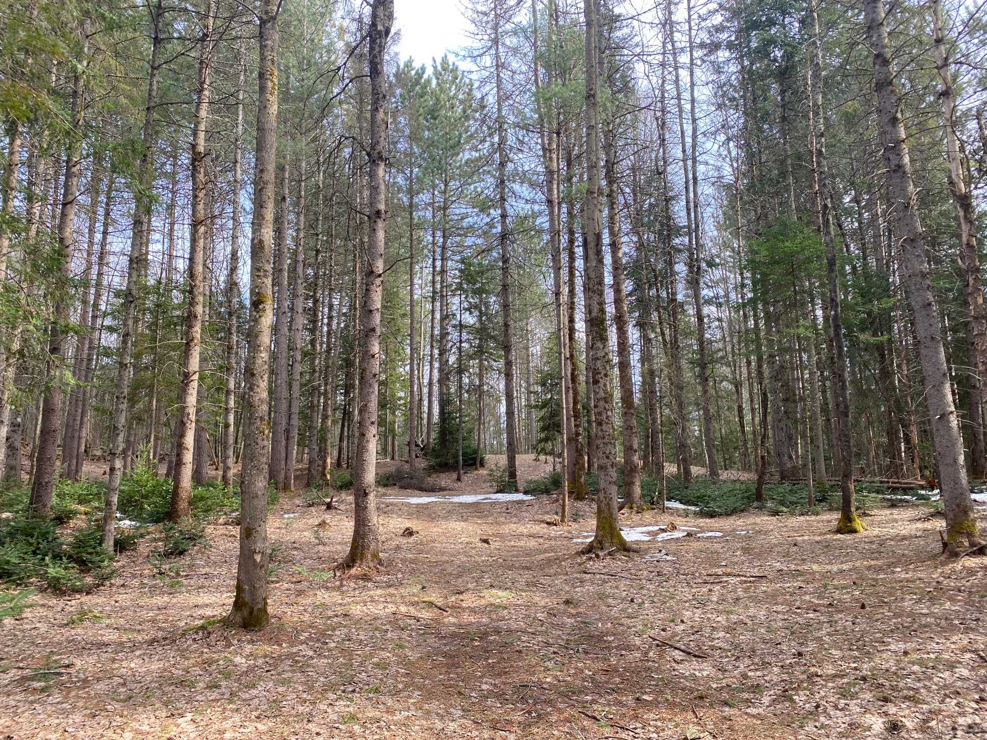 Installer votre roulotte pendant la construction