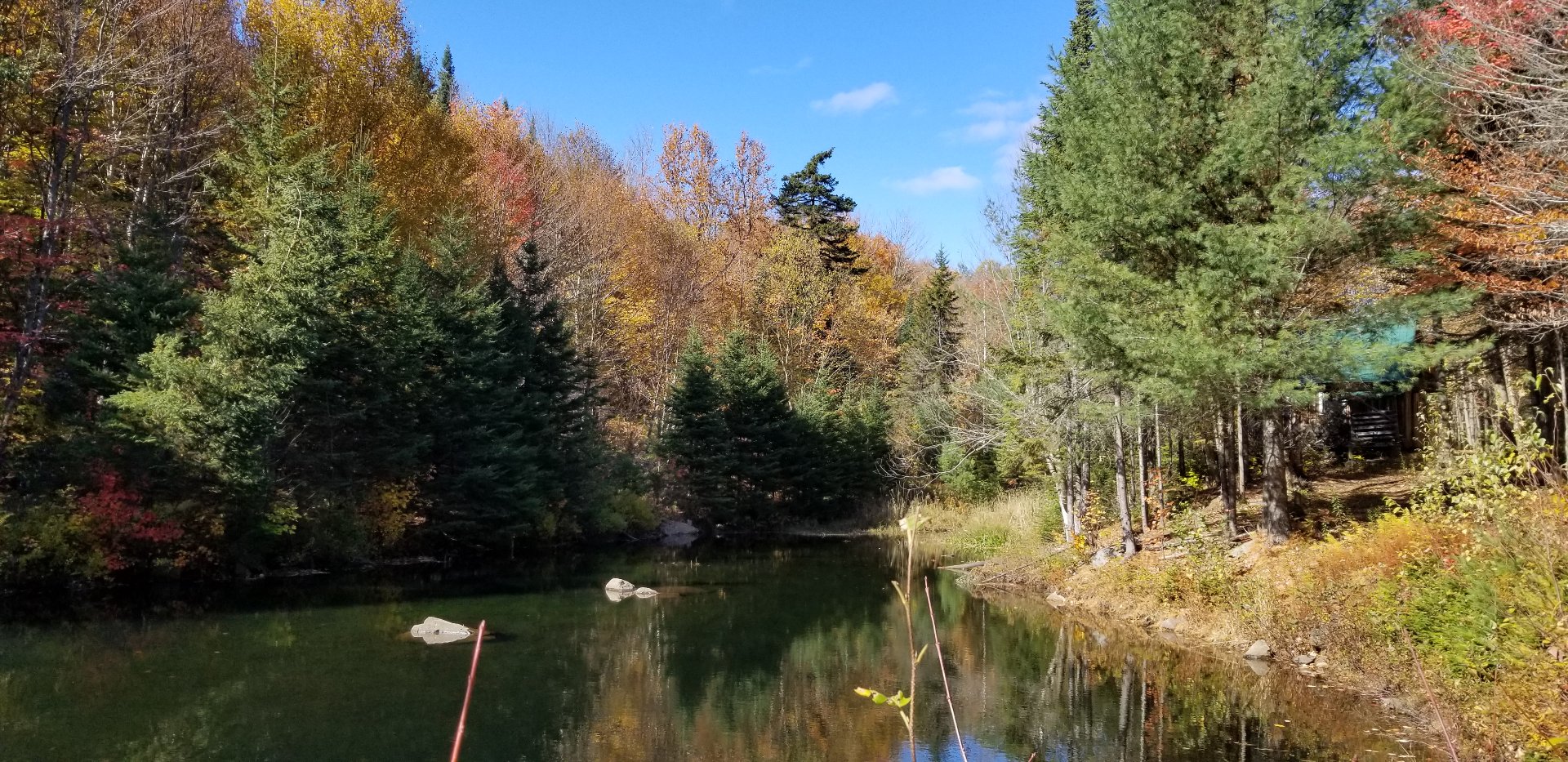 étang baignable ou pour pêcher la truites