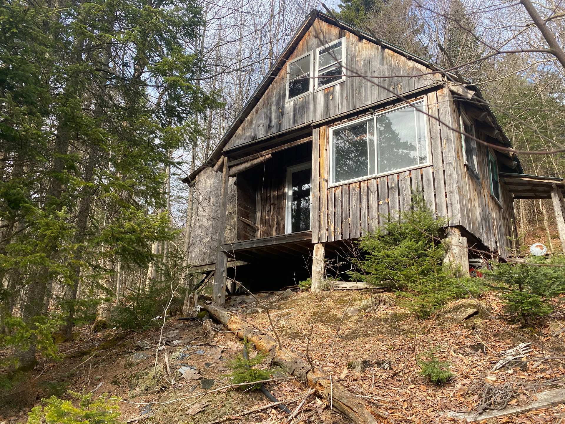 cabin by the pond