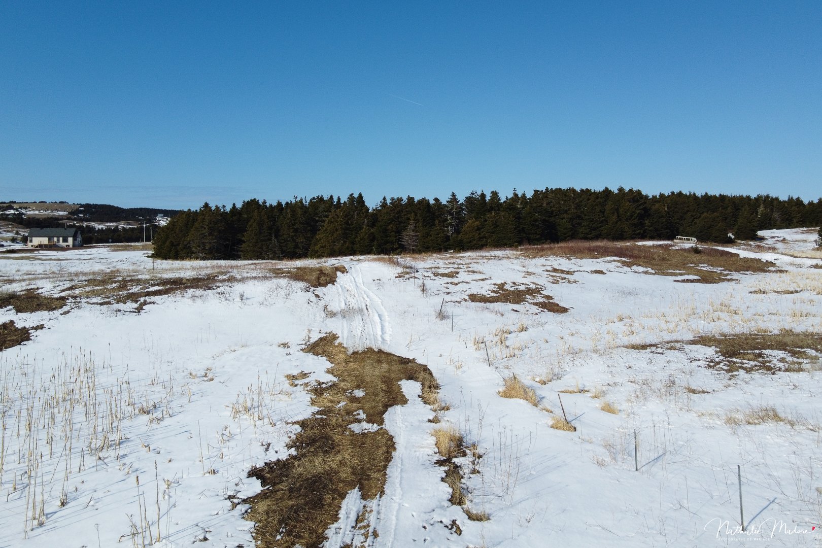 Terre/Terrain