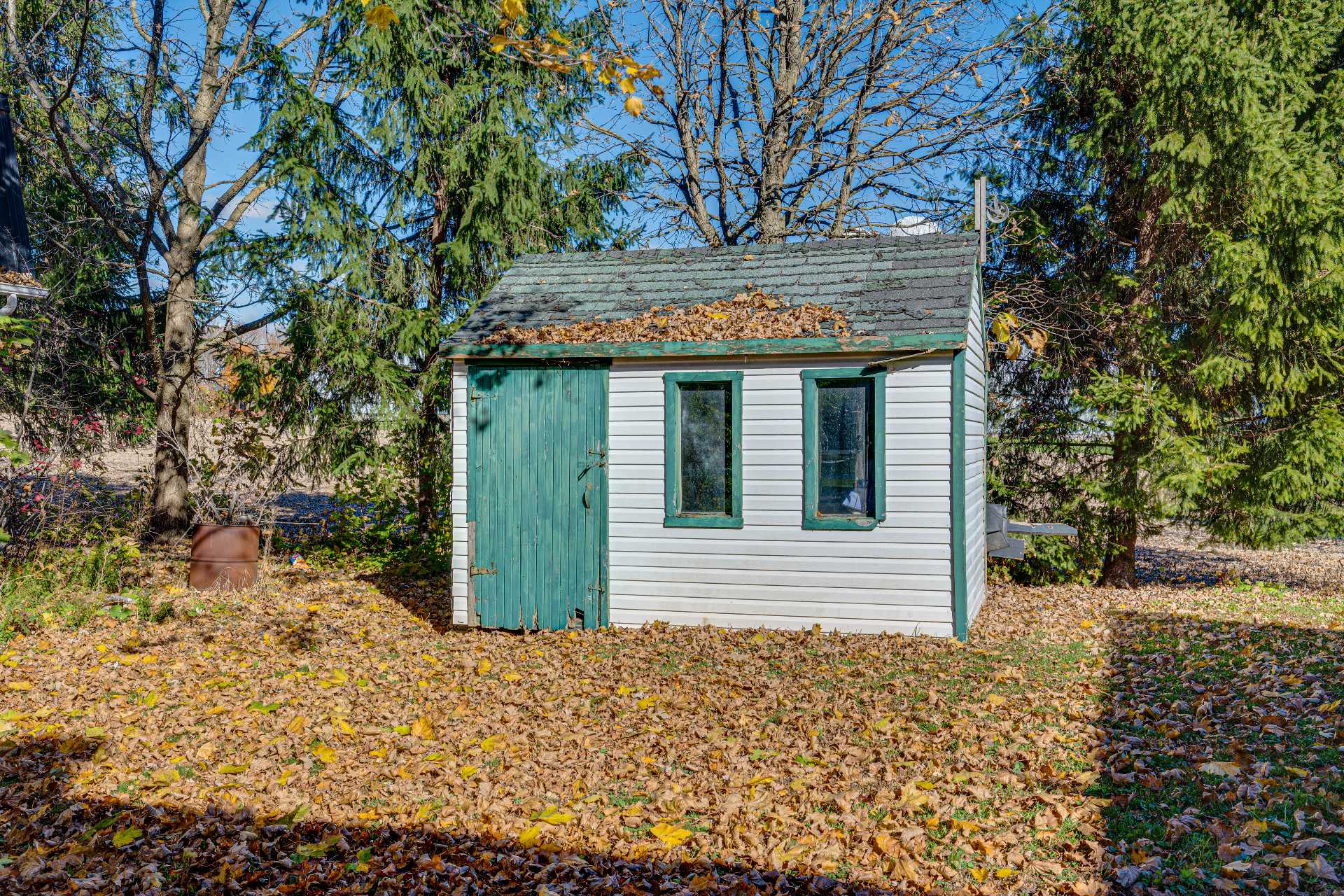 Shed
