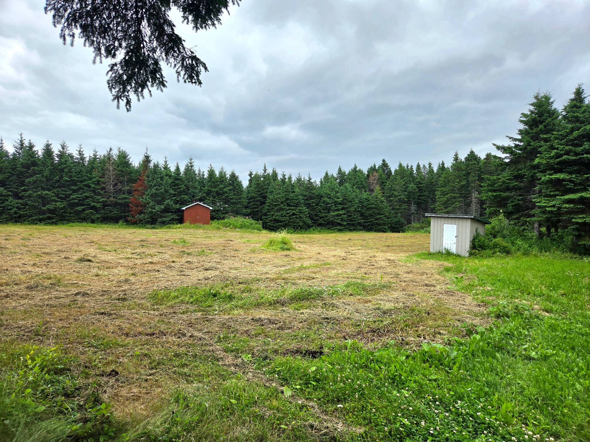 Terre/Terrain
