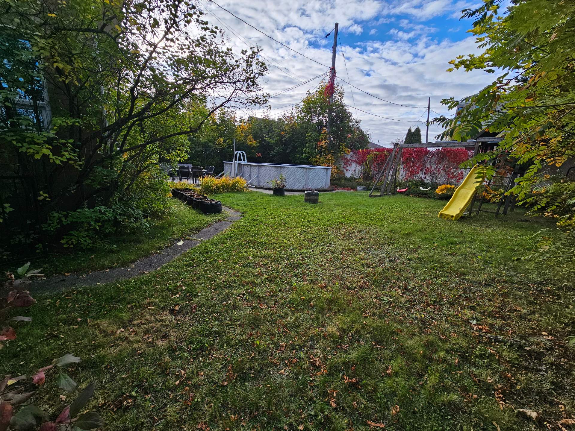 Overall View