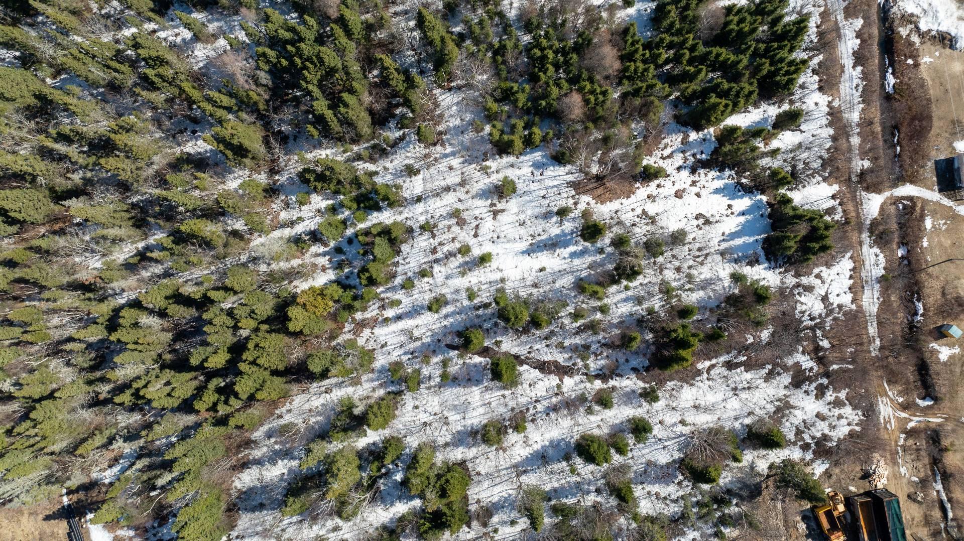 Terre/Terrain