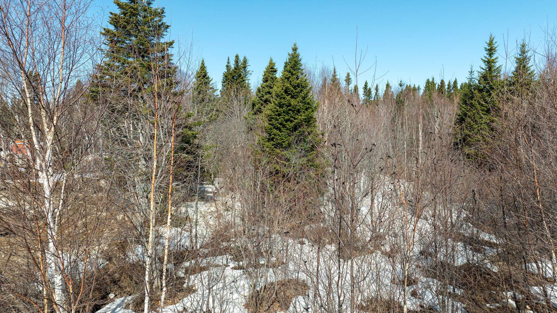 Terre/Terrain