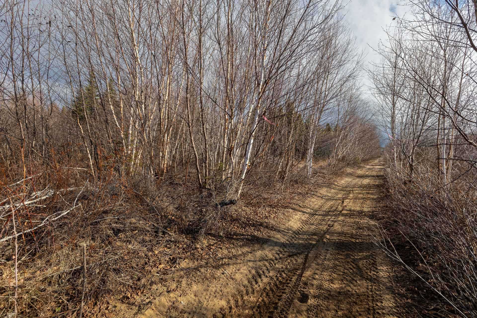 sentier pedestre